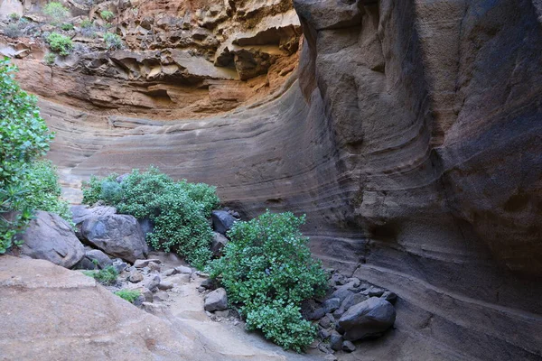 Barranco de las Vacas kanyonu yüzyıllar boyunca kayaların içinden geçen suyun geçmesiyle oluşan bir oyuktur.