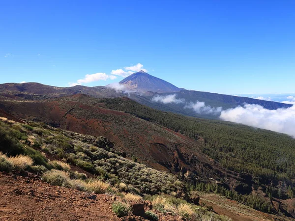 Teide Ulusal Parkı, İspanya 'nın Kanarya Adaları' nın Tenerife kentinde bulunan ulusal park.