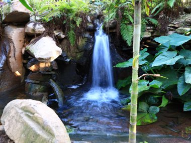 Santa Cruz de Tenerife Palmetumu 120.000 metrelik bir botanik bahçesidir. 