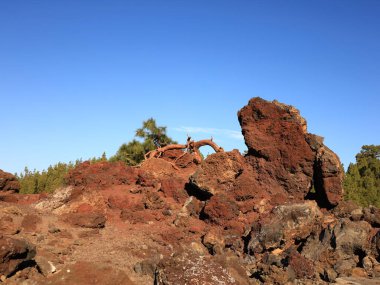 Teide Ulusal Parkı Tenerife, Kanarya Adaları 'nda bulunan ulusal parktır. Ulusal park İspanya' nın 3,718 metre yüksekliğindeki Teide Dağı 'nın merkezindedir.