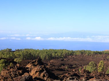 Teide Ulusal Parkı Tenerife, Kanarya Adaları 'nda bulunan ulusal parktır. Ulusal park İspanya' nın 3,718 metre yüksekliğindeki Teide Dağı 'nın merkezindedir.