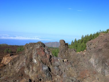 Teide Ulusal Parkı Tenerife, Kanarya Adaları 'nda bulunan ulusal parktır. Ulusal park İspanya' nın 3,718 metre yüksekliğindeki Teide Dağı 'nın merkezindedir.