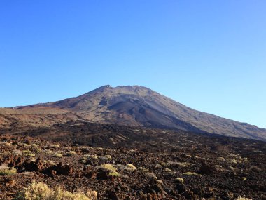 Teide Ulusal Parkı Tenerife, Kanarya Adaları 'nda bulunan ulusal parktır. Ulusal park İspanya' nın 3,718 metre yüksekliğindeki Teide Dağı 'nın merkezindedir.