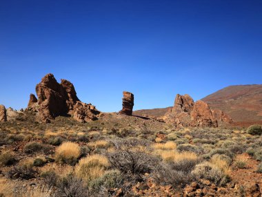Teide Ulusal Parkı Tenerife, Kanarya Adaları 'nda bulunan ulusal parktır. Ulusal park İspanya' nın 3,718 metre yüksekliğindeki Teide Dağı 'nın merkezindedir.