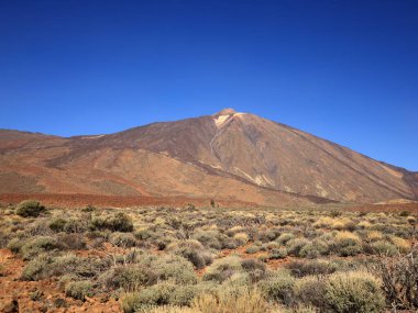 Teide Ulusal Parkı Tenerife, Kanarya Adaları 'nda bulunan ulusal parktır. Ulusal park İspanya' nın 3,718 metre yüksekliğindeki Teide Dağı 'nın merkezindedir.