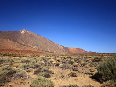 Teide Ulusal Parkı Tenerife, Kanarya Adaları 'nda bulunan ulusal parktır. Ulusal park İspanya' nın 3,718 metre yüksekliğindeki Teide Dağı 'nın merkezindedir.