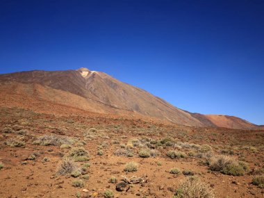 Teide Ulusal Parkı, İspanya 'nın Kanarya Adaları' nın Tenerife kentinde bulunan ulusal park. Ulusal park 3,718 metre yüksekliğindeki İspanya 'nın en yüksek dağı olan Teide Dağı' nın merkezindedir.