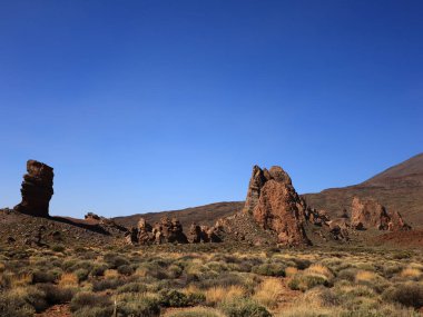 Teide Ulusal Parkı, İspanya 'nın Kanarya Adaları' nın Tenerife kentinde bulunan ulusal park. Ulusal park 3,718 metre yüksekliğindeki İspanya 'nın en yüksek dağı olan Teide Dağı' nın merkezindedir.