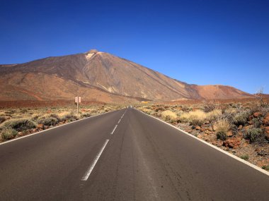 Teide Ulusal Parkı, İspanya 'nın Kanarya Adaları' nın Tenerife kentinde bulunan ulusal park. Ulusal park 3,718 metre yüksekliğindeki İspanya 'nın en yüksek dağı olan Teide Dağı' nın merkezindedir.