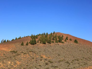 Teide Ulusal Parkı, İspanya 'nın Kanarya Adaları' nın Tenerife kentinde bulunan ulusal park. Ulusal park 3,718 metre yüksekliğindeki İspanya 'nın en yüksek dağı olan Teide Dağı' nın merkezindedir.