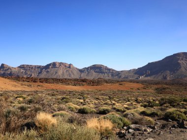 Teide Ulusal Parkı, İspanya 'nın Kanarya Adaları' nın Tenerife kentinde bulunan ulusal park. Ulusal park 3,718 metre yüksekliğindeki İspanya 'nın en yüksek dağı olan Teide Dağı' nın merkezindedir.