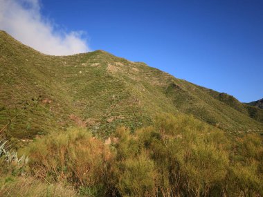 Teno Massif, Tenerife, Kanarya Adaları 'na yol açan üç volkanik oluşumdan biridir., 