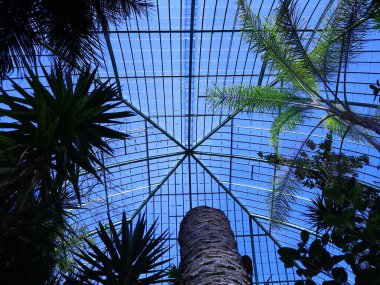 Jardin des Serres d 'Auteuil, 16. bölgede Bois de Boulogne' un güney ucunda yer alan büyük bir sera kompleksi içinde yer alan bir botanik bahçesidir.