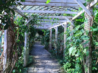 Jardin des Serres d 'Auteuil, 16. bölgede Bois de Boulogne' un güney ucunda yer alan büyük bir sera kompleksi içinde yer alan bir botanik bahçesidir.