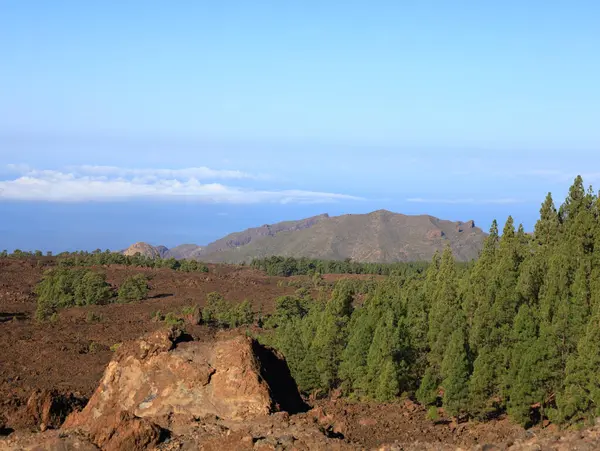 Teide Ulusal Parkı Tenerife, Kanarya Adaları 'nda bulunan ulusal parktır. Ulusal park İspanya' nın 3,718 metre yüksekliğindeki Teide Dağı 'nın merkezindedir.