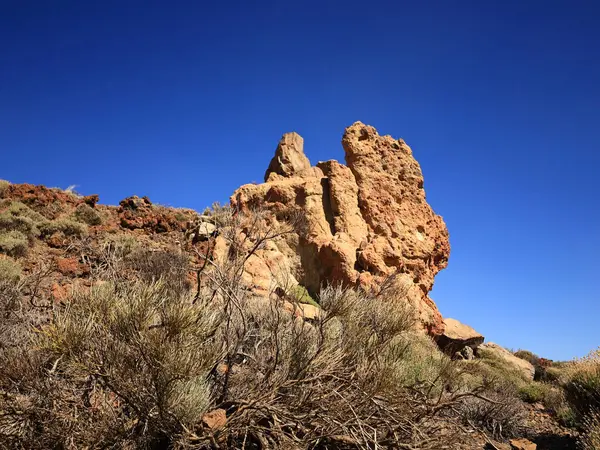 Teide Ulusal Parkı, İspanya 'nın Kanarya Adaları' nın Tenerife kentinde bulunan ulusal park. Ulusal park 3,718 metre yüksekliğindeki İspanya 'nın en yüksek dağı olan Teide Dağı' nın merkezindedir.