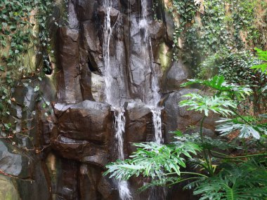 Biotropica hayvan bahçeleri, Eure 'de, Val-de-Reuil şehrinin yakınlarındaki Lery-Poses' un boş zamanlarında bulunan bir Fransız zooloji parkı.