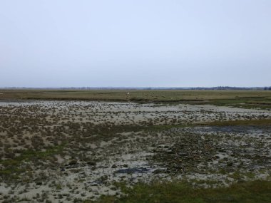 Mont-Saint-Michel körfezi, Zümrüt Sahili 'nin doğusunda Normanno-Breton Körfezi' nin güneydoğusunda yer alan bir körfez.