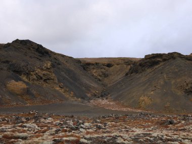 Reykjanesfolkvangur, İzlanda 'nın güneydoğusundaki Reykjanes yarımadasında yer alan bir doğa koruma alanıdır. Yaklaşık 300 km 'lik bir alanı var..