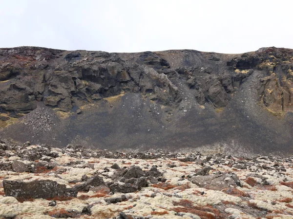 Reykjanesfolkvangur, İzlanda 'nın güneydoğusundaki Reykjanes yarımadasında yer alan bir doğa koruma alanıdır. Yaklaşık 300 km 'lik bir alanı var..