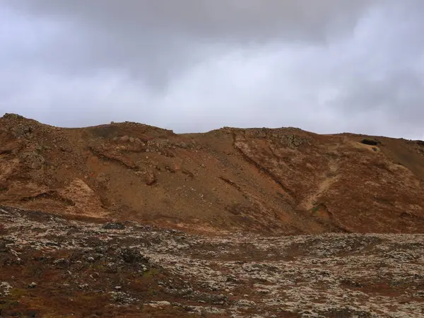 Reykjanesfolkvangur, İzlanda 'nın güneydoğusundaki Reykjanes yarımadasında yer alan bir doğa koruma alanıdır. Yaklaşık 300 km 'lik bir alanı var..