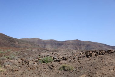 Jandia Doğal Parkı (İspanyolca: Viewpoint in the Jandia Natural Park), Kanarya Adaları 'ndaki Fuerteventura Adası' nın güneyinde yer alan bir doğal park.