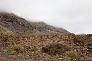 Jandia Doğal Parkı (İspanyolca: Viewpoint in the Jandia Natural Park), Kanarya Adaları 'ndaki Fuerteventura Adası' nın güneyinde yer alan bir doğal park.