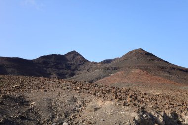 Jandia Doğal Parkı (İspanyolca: Viewpoint in the Jandia Natural Park), Kanarya Adaları 'ndaki Fuerteventura Adası' nın güneyinde yer alan bir doğal park.