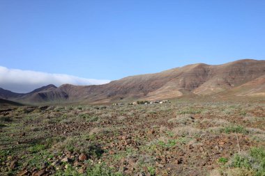 Jandia Doğal Parkı (İspanyolca: Viewpoint in the Jandia Natural Park), Kanarya Adaları 'ndaki Fuerteventura Adası' nın güneyinde yer alan bir doğal park.