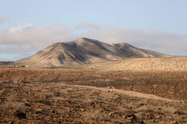 Jandia Doğal Parkı (İspanyolca: Viewpoint in the Jandia Natural Park), Kanarya Adaları 'ndaki Fuerteventura Adası' nın güneyinde yer alan bir doğal park.