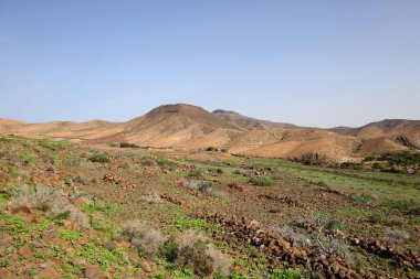 Betancuria, İspanya 'da Kanarya Adaları' nın Fuerteventura adasında yer alan bir şehirdir.