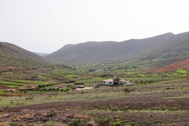 Betancuria, İspanya 'da Kanarya Adaları' nın Fuerteventura adasında yer alan bir şehirdir..