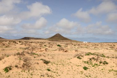 Betancuria, İspanya 'da Kanarya Adaları' nın Fuerteventura adasında yer alan bir şehirdir..