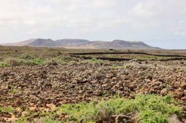Betancuria, İspanya 'da Kanarya Adaları' nın Fuerteventura adasında yer alan bir şehirdir..