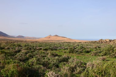 Betancuria, İspanya 'da Kanarya Adaları' nın Fuerteventura adasında yer alan bir şehirdir..