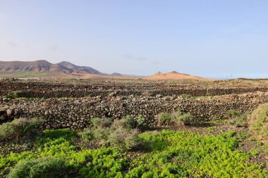 Betancuria, İspanya 'da Kanarya Adaları' nın Fuerteventura adasında yer alan bir şehirdir..