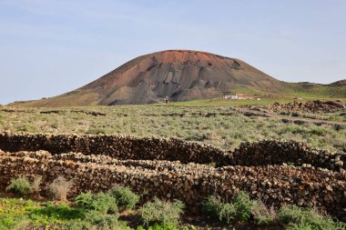 Betancuria, İspanya 'da Kanarya Adaları' nın Fuerteventura adasında yer alan bir şehirdir..