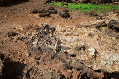 Lajares ve Corralejo köyleri arasında Montana Colorada Bayuyo adında bir dağ sırası vardır ve Fuerteventura adasında birkaç volkandan oluşur.