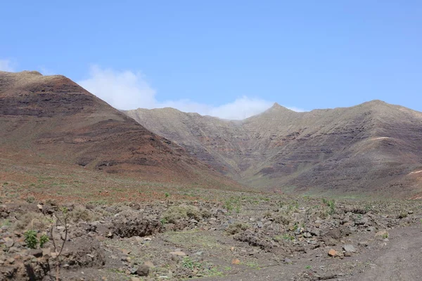 Jandia Doğal Parkı (İspanyolca: Viewpoint in the Jandia Natural Park), Kanarya Adaları 'ndaki Fuerteventura Adası' nın güneyinde yer alan bir doğal park.