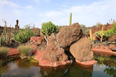 Guatiza, Teguise belediyesinde yer alan Kaktüs Bahçesi, Cesar Manrique 'nin Lanzarote' deki son büyük çalışması. 