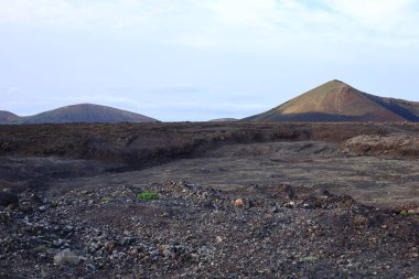 Timanfaya Ulusal Parkı, Kanarya Adaları 'nda Lanzarote Adası' nın güneybatısında bulunan bir İspanyol milli parkı.