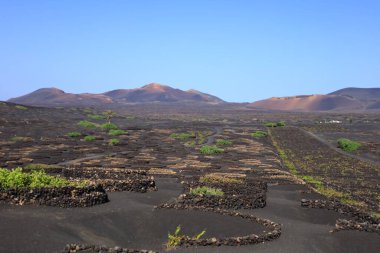 Timanfaya Ulusal Parkı, Kanarya Adaları 'nda Lanzarote Adası' nın güneybatısında bulunan bir İspanyol milli parkı.