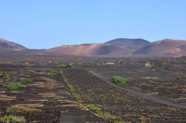 Timanfaya Ulusal Parkı, Kanarya Adaları 'nda Lanzarote Adası' nın güneybatısında bulunan bir İspanyol milli parkı.