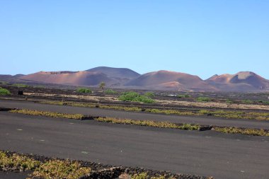 Timanfaya Ulusal Parkı, Kanarya Adaları 'nda Lanzarote Adası' nın güneybatısında bulunan bir İspanyol milli parkı.