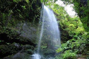 San Andrs y Sos Adası Tilos Şelalesi, De La Palma