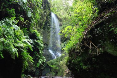 San Andrs y Sos Adası Tilos Şelalesi, De La Palma
