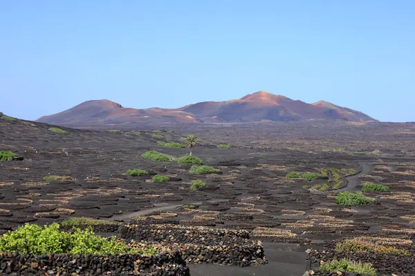 Timanfaya Ulusal Parkı, Kanarya Adaları 'nda Lanzarote Adası' nın güneybatısında bulunan bir İspanyol milli parkı.