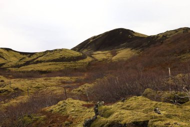 Grabrok krateri (Grabrokargigar), 1962 yılından beri İzlanda 'nın batısındaki Borgarfjor bölgesinde korunan doğal bir bölgedir..