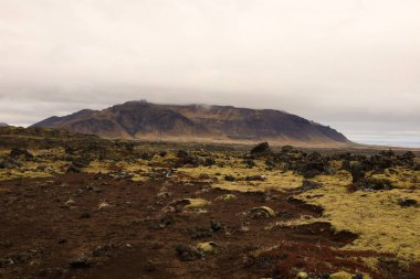 Berserkjahraun İzlanda 'da 4000 yıllık bir lav tarlası. Snfellsnes yarımadasında yer almaktadır. 