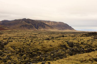 Berserkjahraun İzlanda 'da 4000 yıllık bir lav tarlası. Snfellsnes yarımadasında yer almaktadır. 